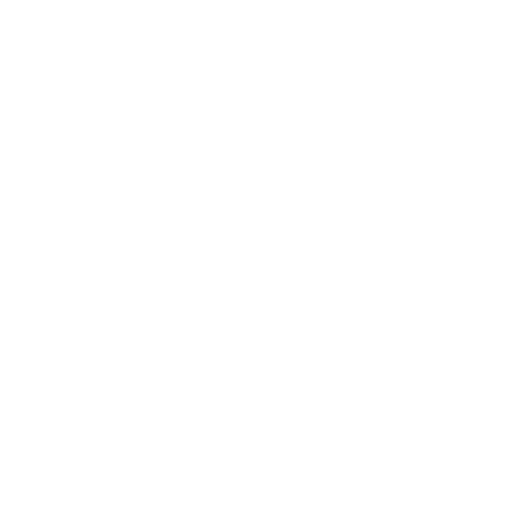 41 Digital